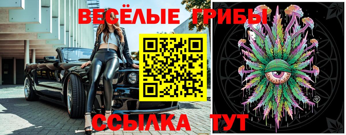 Бузулук  Псилоцибиновые грибы мухоморы  Вход с VPN  наркота  Галлюциногенные грибы Cubensis 